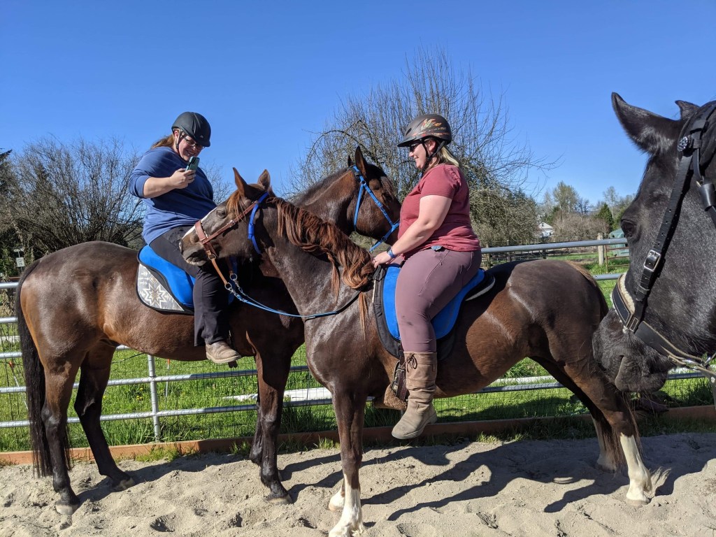 friends and companions