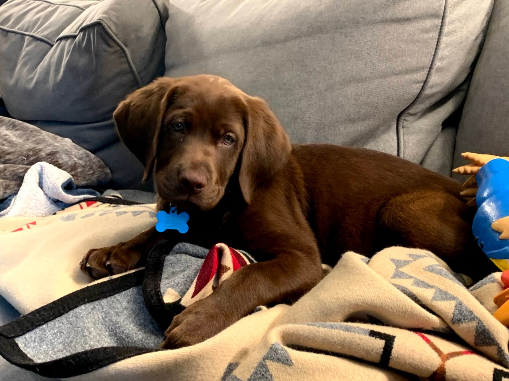 Oh, For A Nap…and some&nbsp;goals