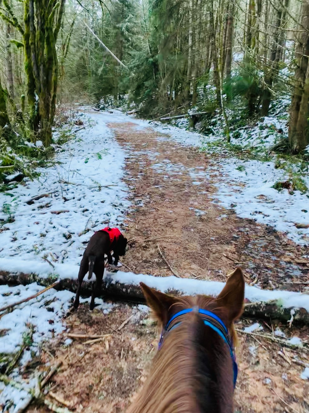 First day, first&nbsp;ride