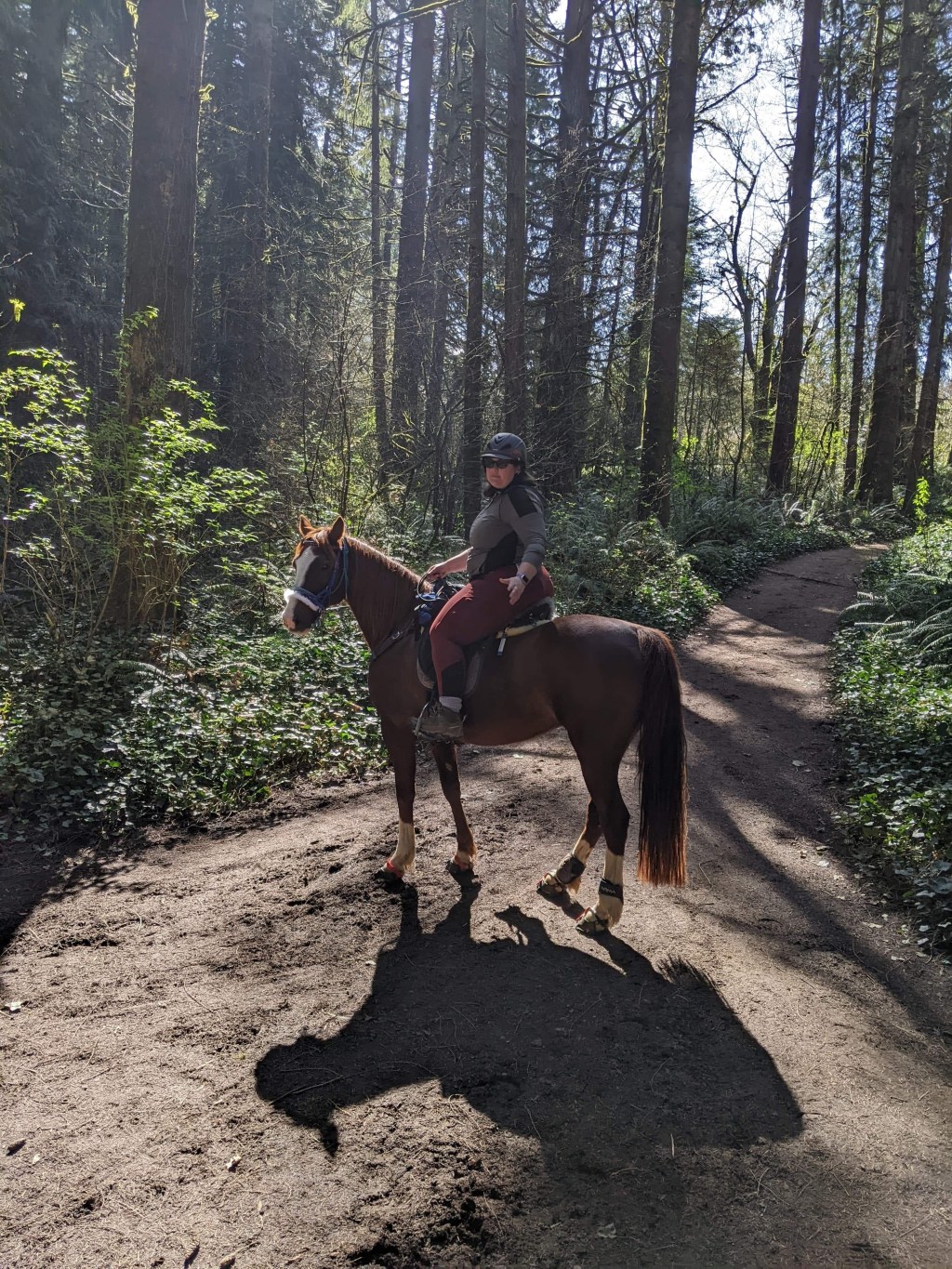 The Great Hunt