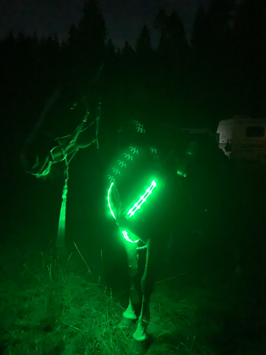 Midnight Rider Ride&nbsp;Report