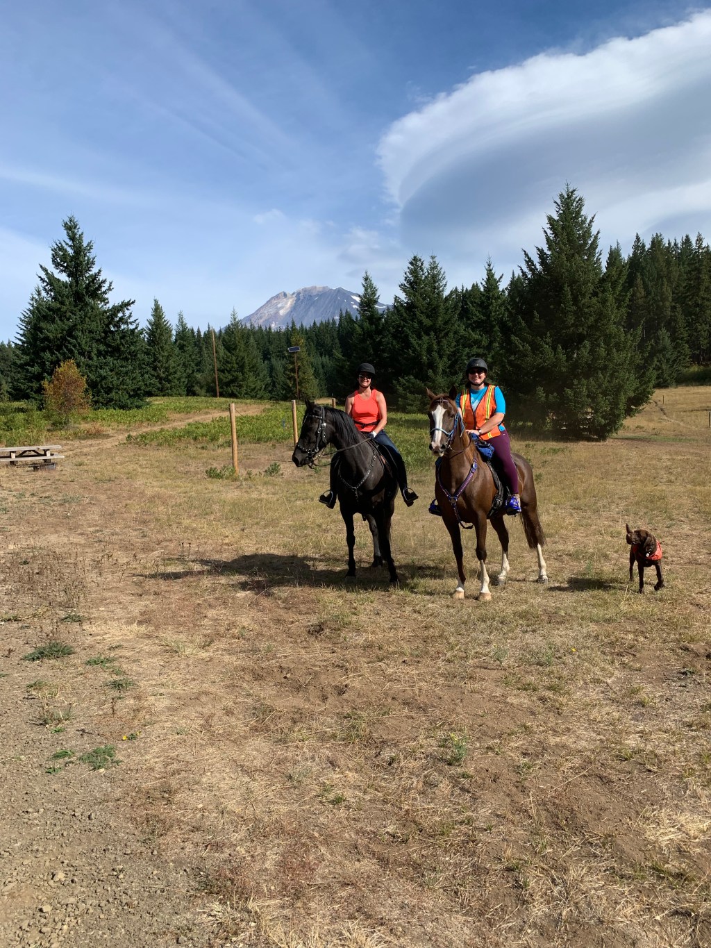 Mount Adams, Vacation&nbsp;Mode