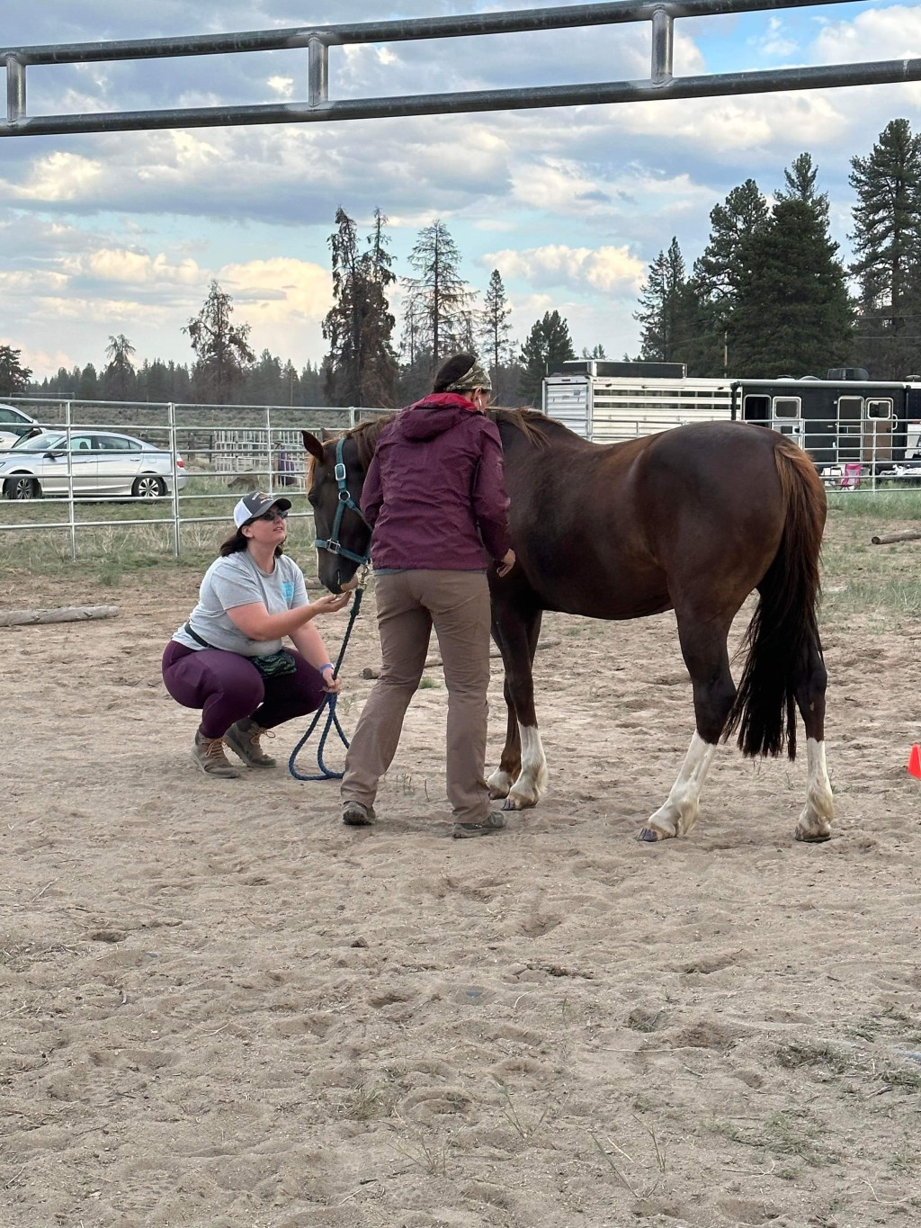 Endurance: Where are the&nbsp;ribbons?