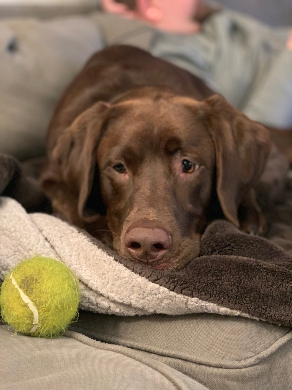 Couch Potato