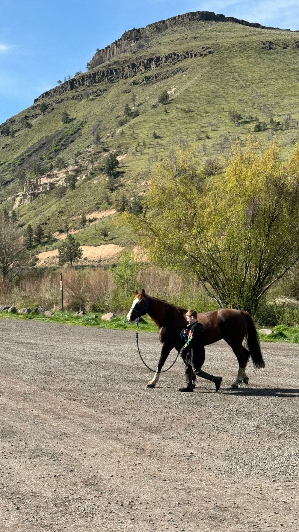 Grizzly Ride Report, LD&nbsp;Edition