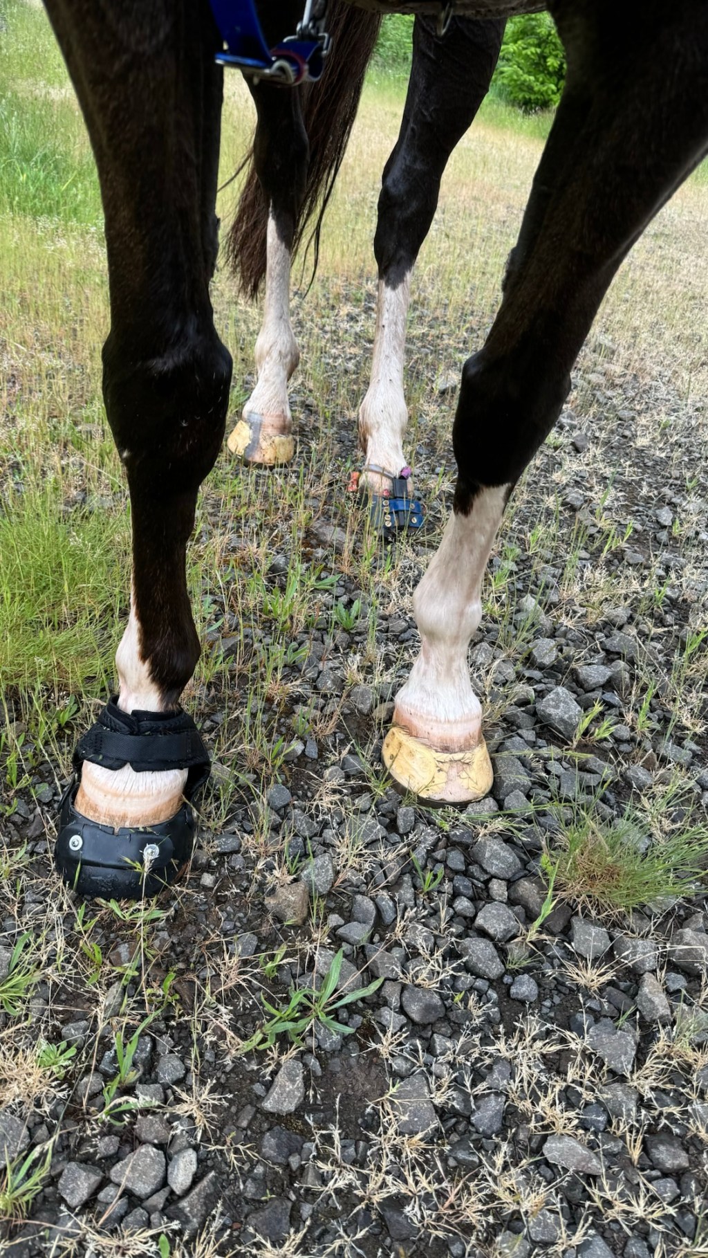 How many feet you&nbsp;meet