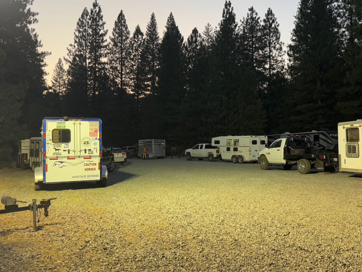 The road to Tevis: Actual&nbsp;Tevis!