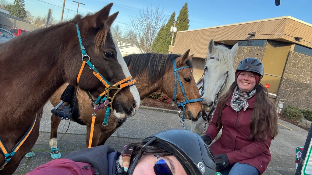 Year of…a chestnut&nbsp;mare