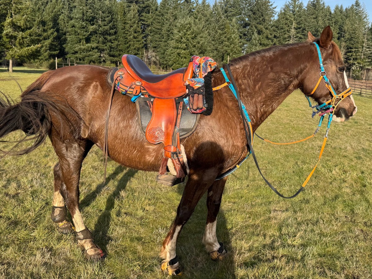 Tevis Prep: February 2026 Check&nbsp;In
