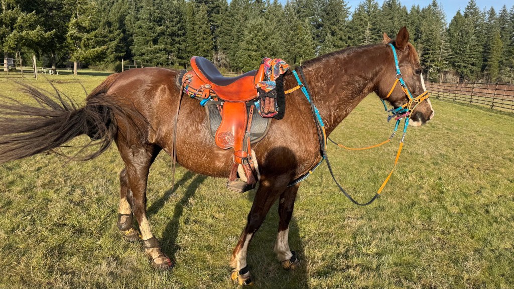 Tevis Prep: February 2026 Check&nbsp;In