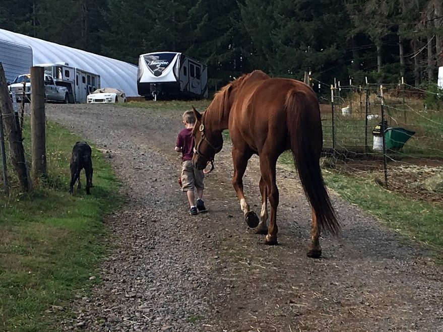 Good Horses